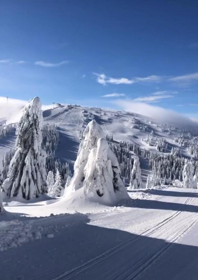 Apartament Sunny Kop Čardaci Kopaonik Zewnętrze zdjęcie