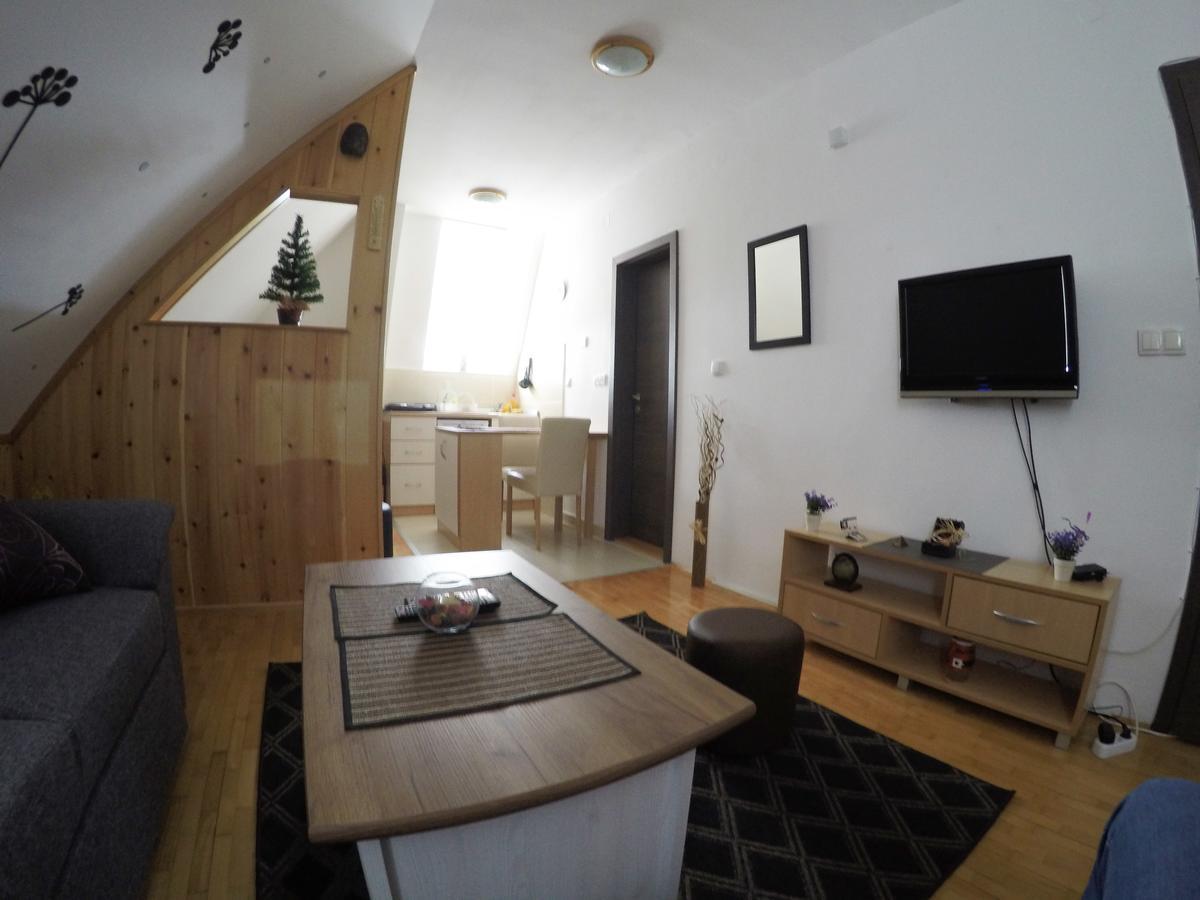 Apartament Sunny Kop Čardaci Kopaonik Zewnętrze zdjęcie